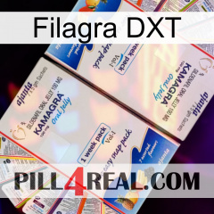 Filagra DXT kamagra1